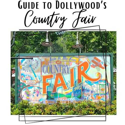 2024 Dollywood's Height requirements (All Rides Listed)