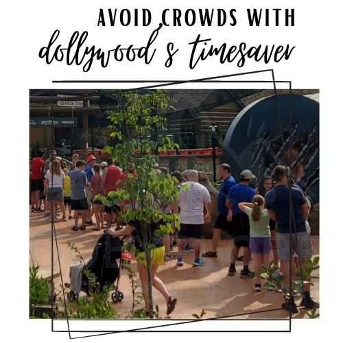 2024 Dollywood's Height requirements (All Rides Listed)