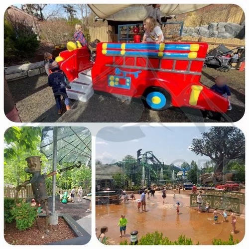 21 Must Pack Items For A Day At Dollywood With Kids!