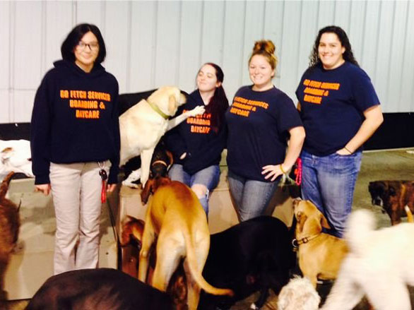 Go Fetch Services Dog Boarding, Pet Sitting, Dog Daycare