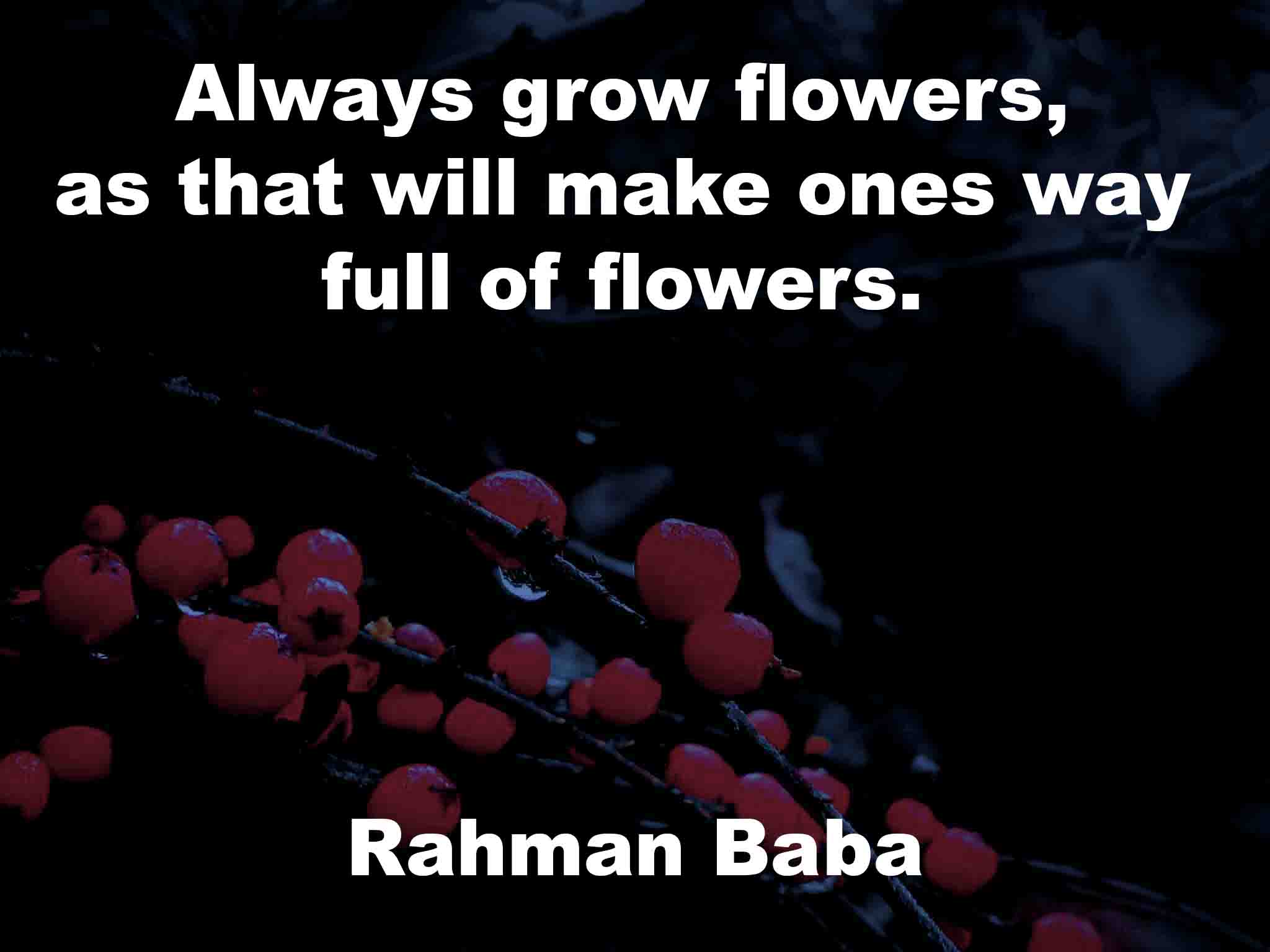 60flowerquotes Art, Music, Photography, Poetry and Quotations