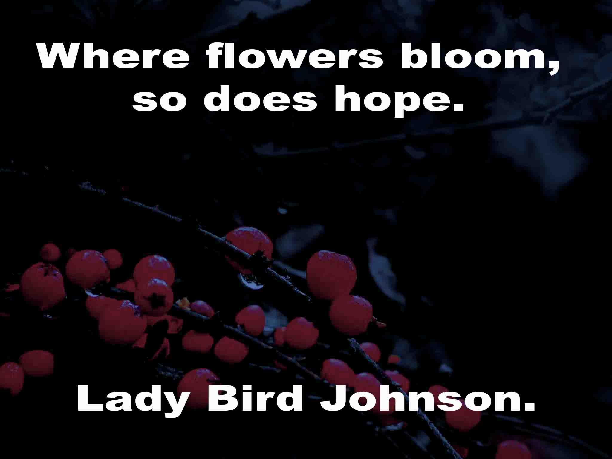 64flowerquotes Art, Music, Photography, Poetry and Quotations
