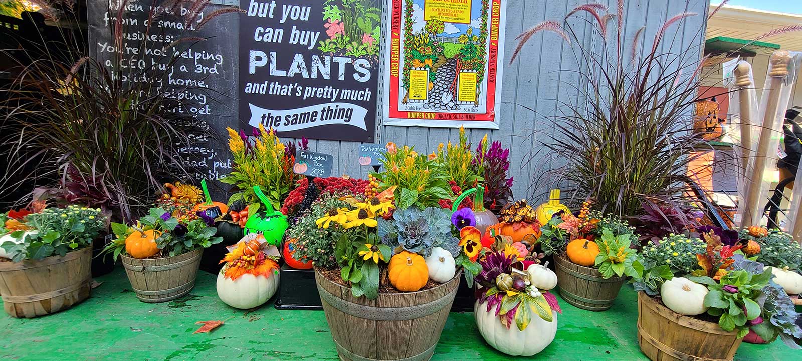 The Pumpkin Patch Goffle Brook Farms
