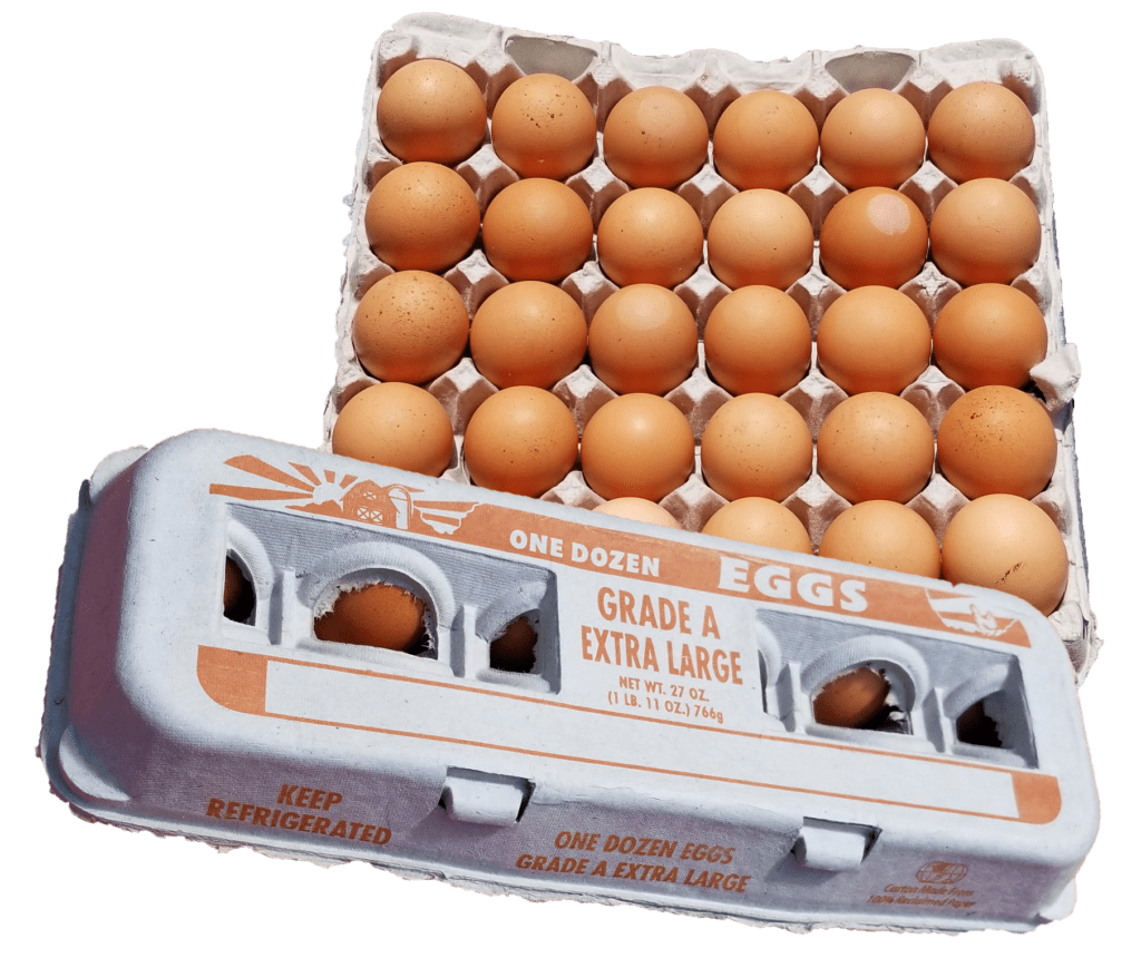 Extra Large Brown Eggs Goffle Road Poultry Farm