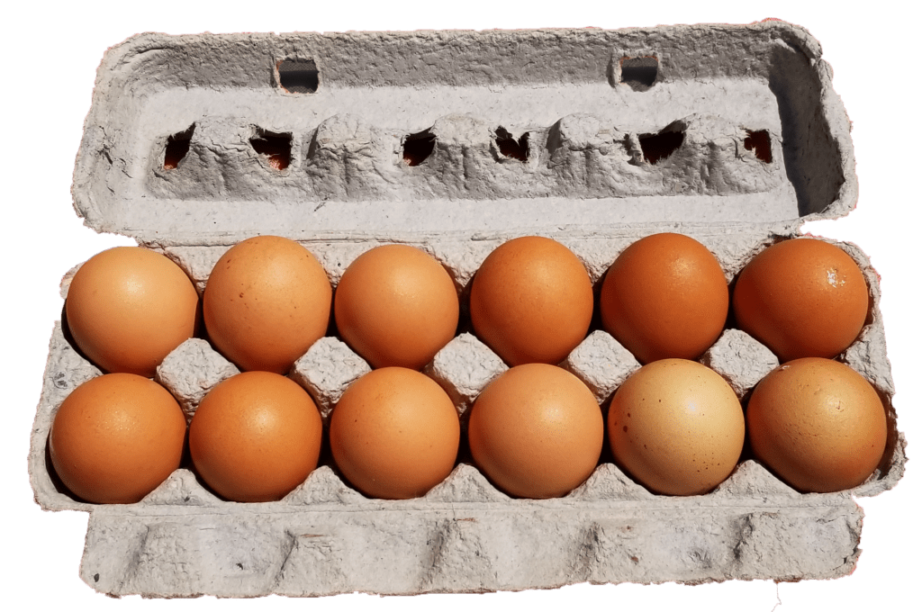 Extra Large Brown Eggs Goffle Road Poultry Farm