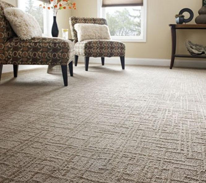 Luxurious Carpet Flooring Solutions Go Flooring