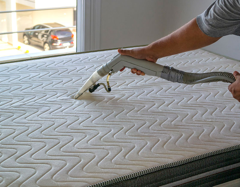 Cleaning Services Go Forward Pest Control