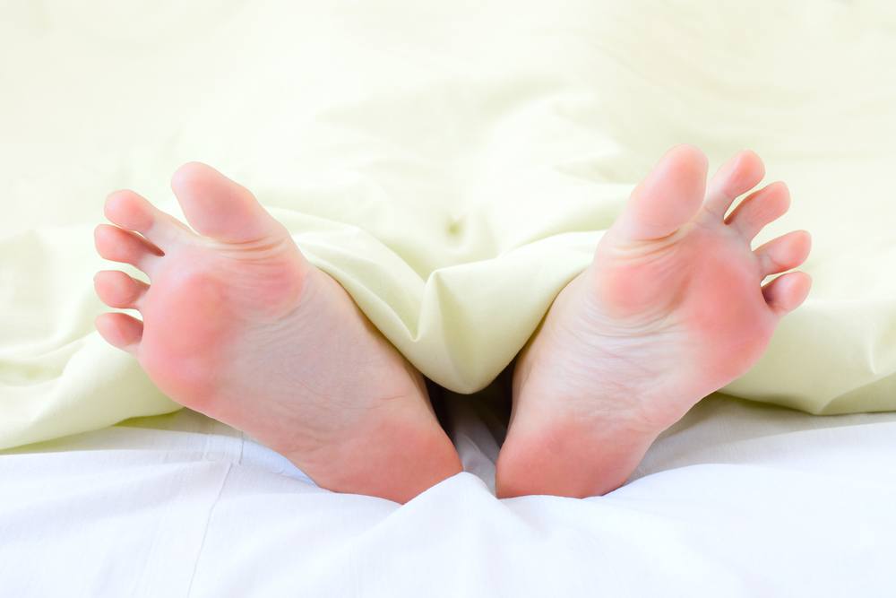 Can You Die From Bed Bugs? Freedom Pest Control