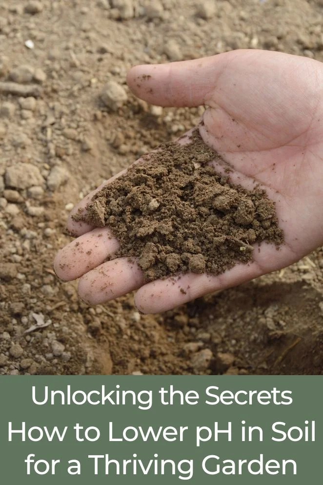 Guide 101 How to Lower pH in Soil for a Thriving Garden