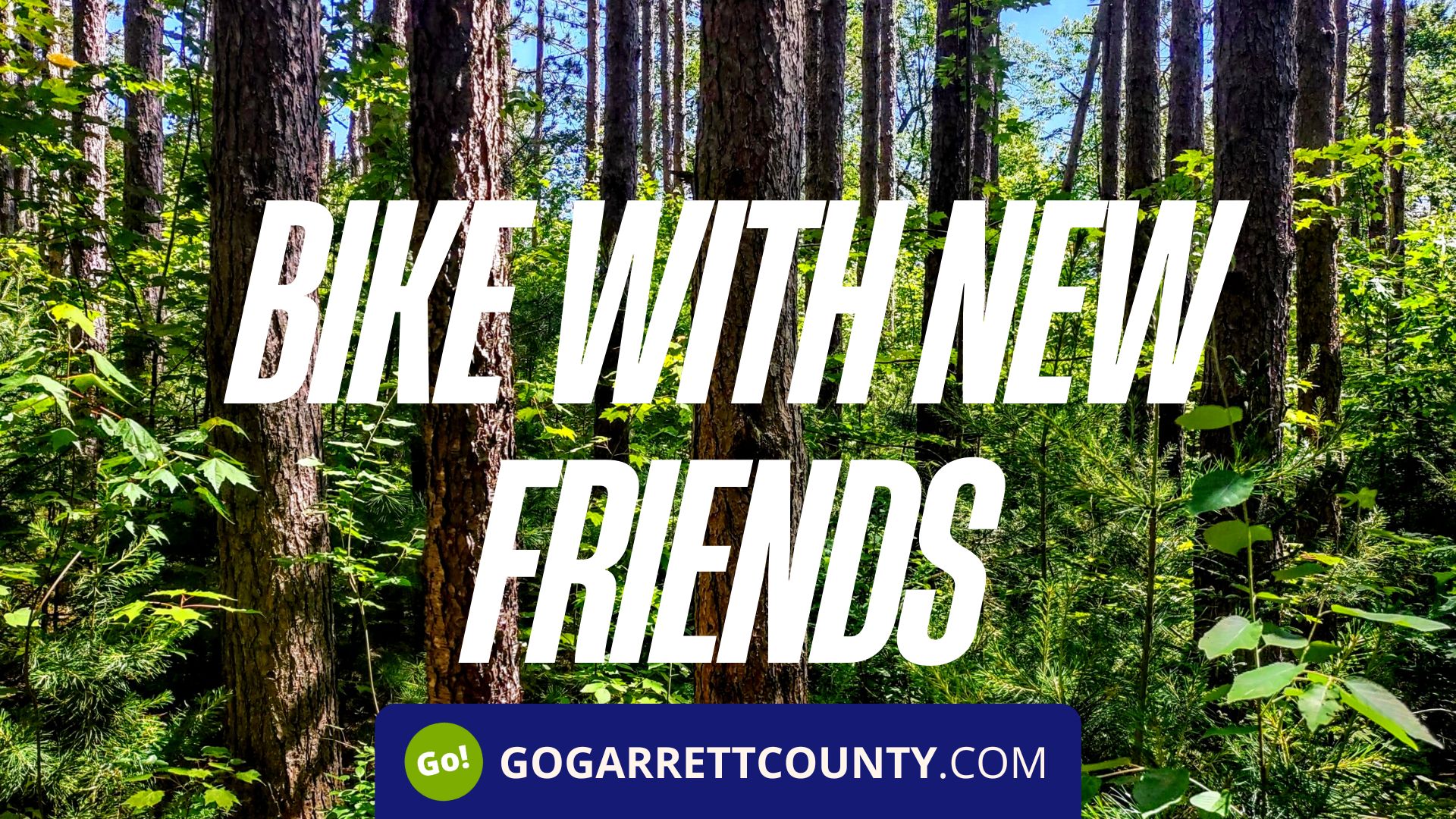 Beginner Mountain Biking at Broadford Park Go! Garrett County