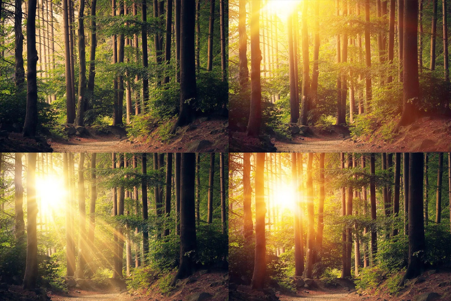 Realistic Sun Light Overlays, Sunset Overlay, Sun Flare
