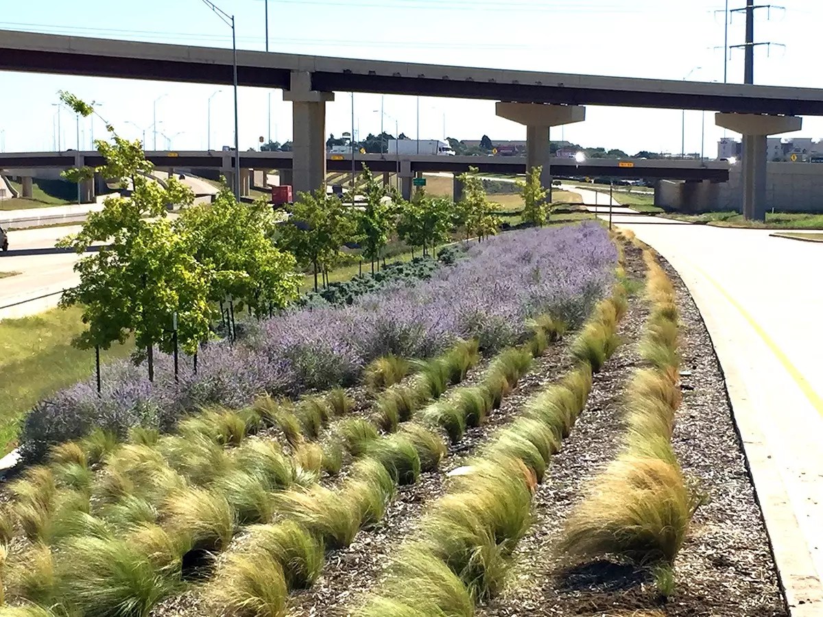 Green Ribbon Project GoGrapevine