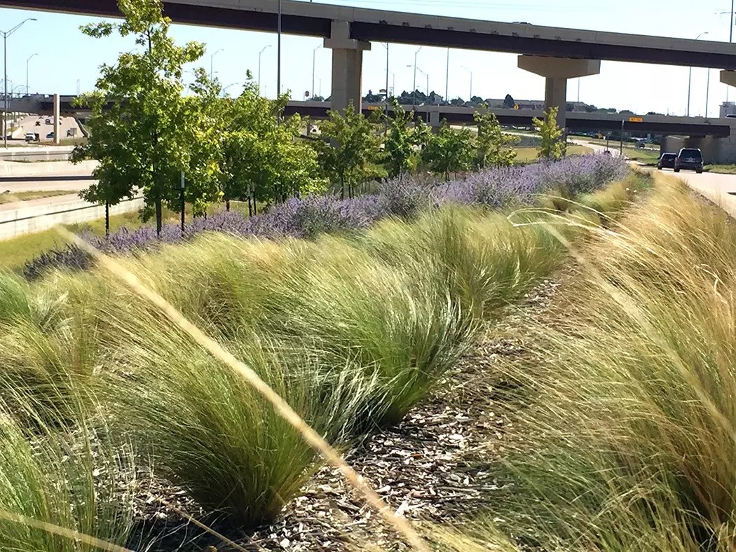 Green Ribbon Project GoGrapevine