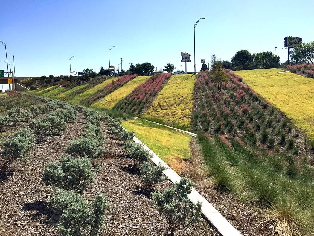 Green Ribbon Project GoGrapevine