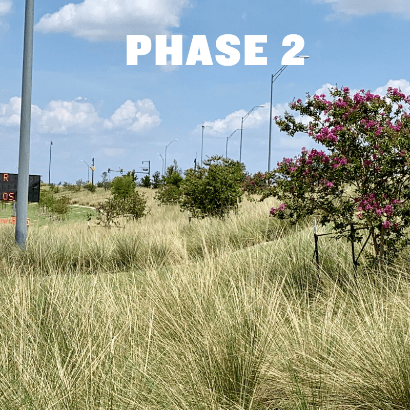 Green Ribbon Project GoGrapevine