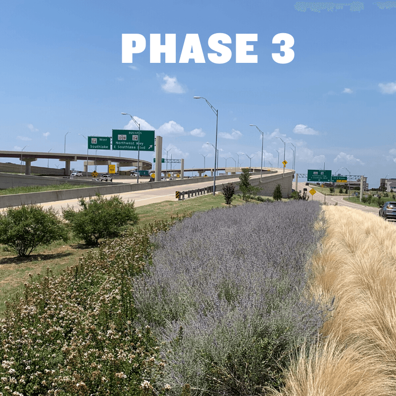 Green Ribbon Project GoGrapevine