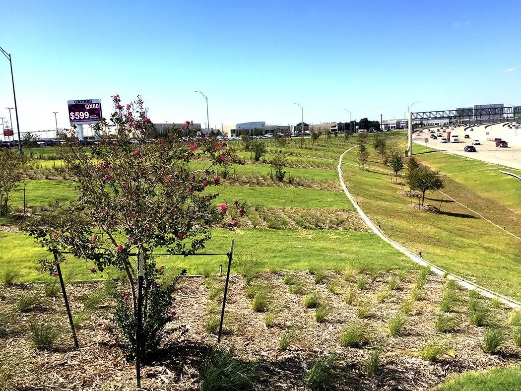 Green Ribbon Project GoGrapevine