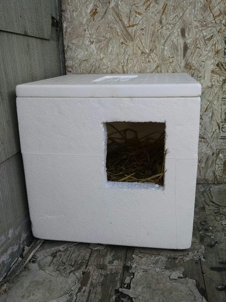 Colony Cats Reuses Styrofoam Coolers by Turning Them Into Cat Shelters