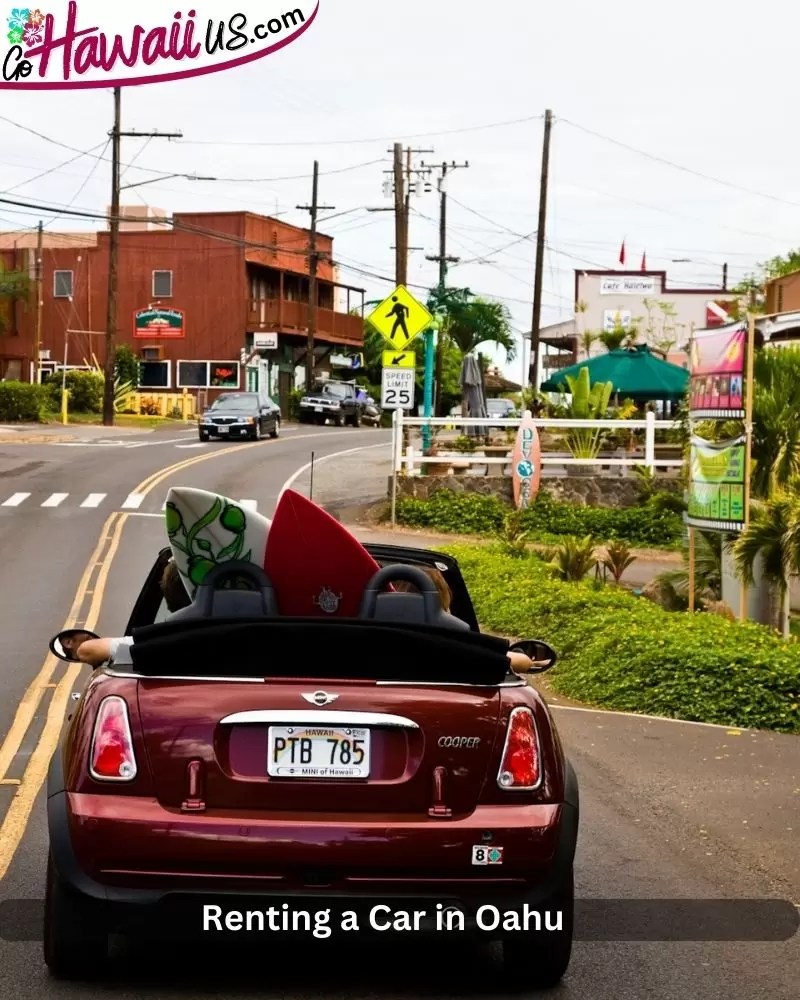 The 9 Best Snorkelling In West Oahu 2024