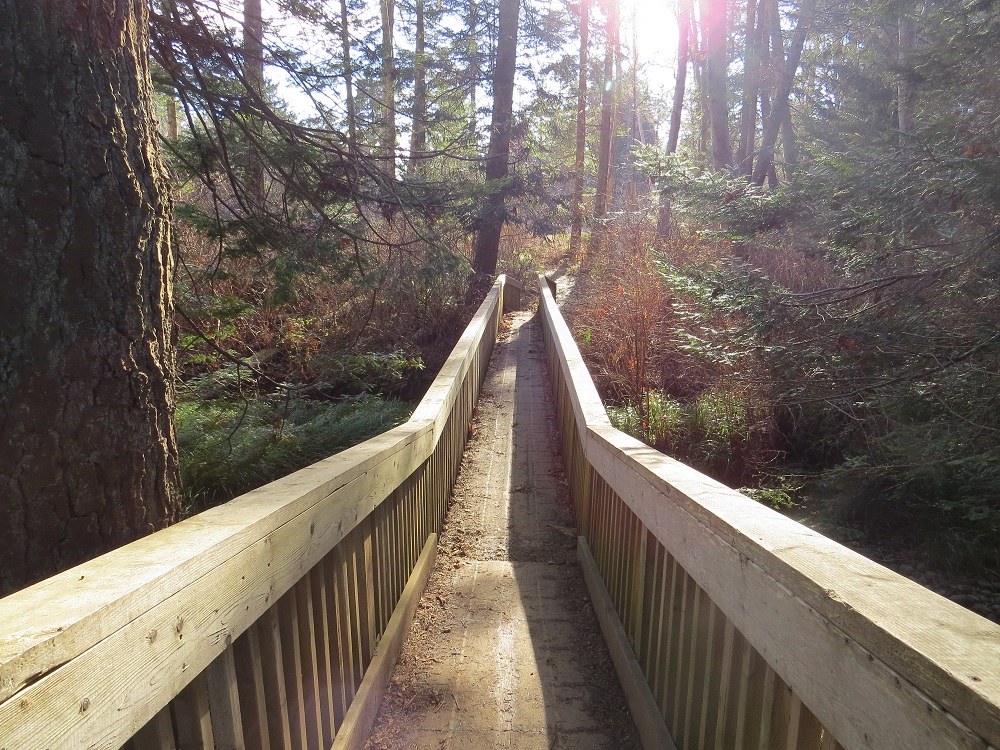 Oyster River Estuary, Vancouver Island, BC Gohiking.ca