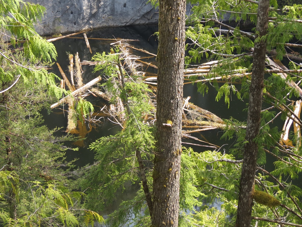 Devils Bath, Vancouver Island, BC Gohiking.ca