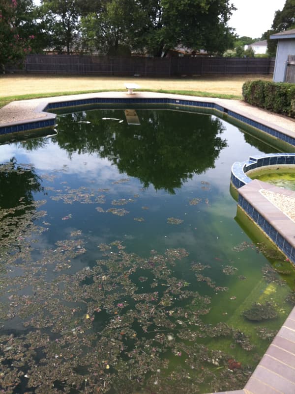 Swimming Pools & Mosquitoes Gohlke Pools