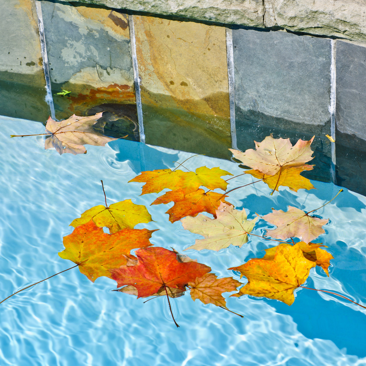 Fall is a Great Time of Year to Enjoy Your Swimming Pool Gohlke Pools
