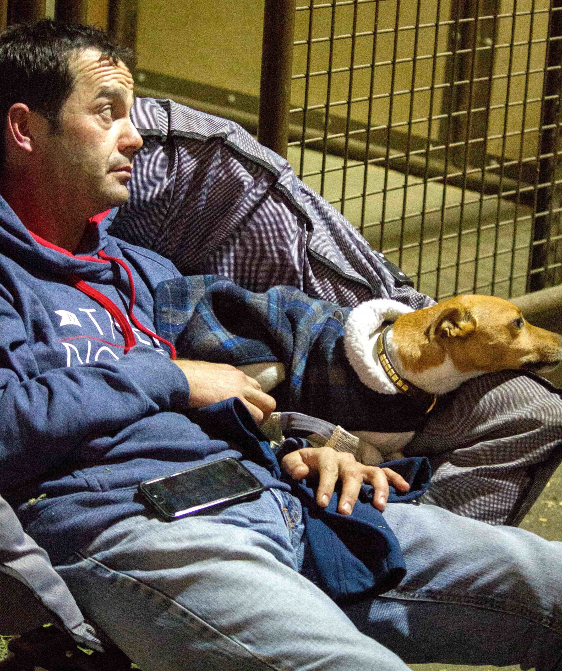 GoHorseShow ryan painter