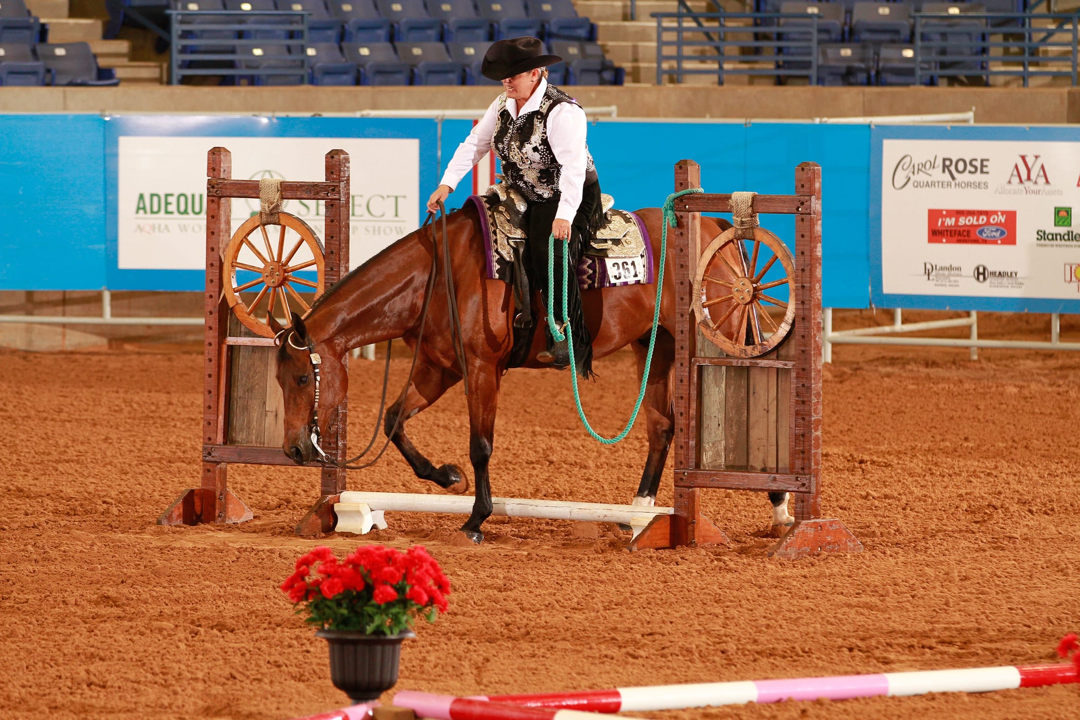 GoHorseShow Update on Gate for AQHA Trail Classes