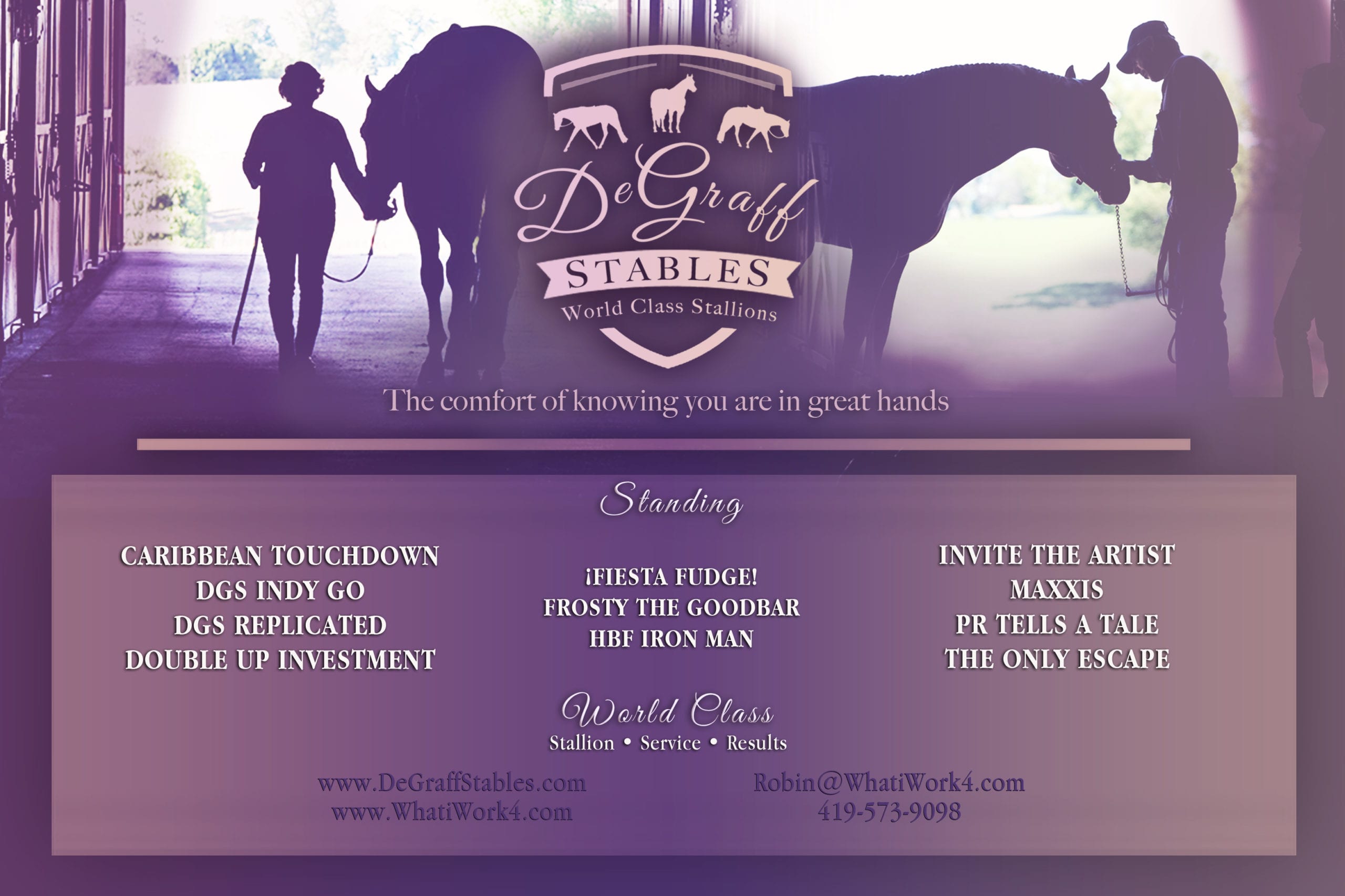 GoHorseShow DeGraff Stables Stallion Engagements, Stallion Service Auctions and Donated