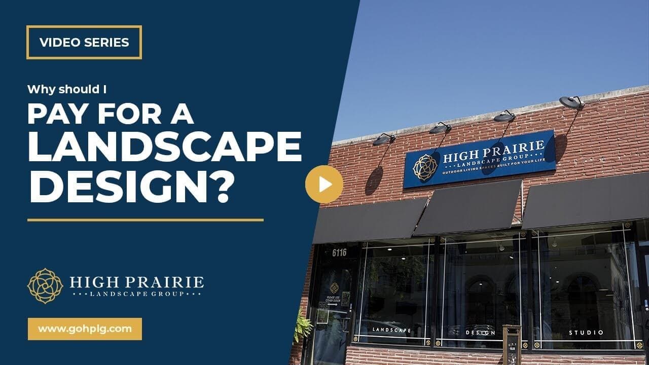 12 Best LowMaintenance Plants & Trees for Kansas City Landscapes