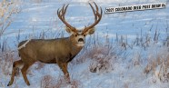 Awasome Colorado Second Draw Deadline References Boost Wiring