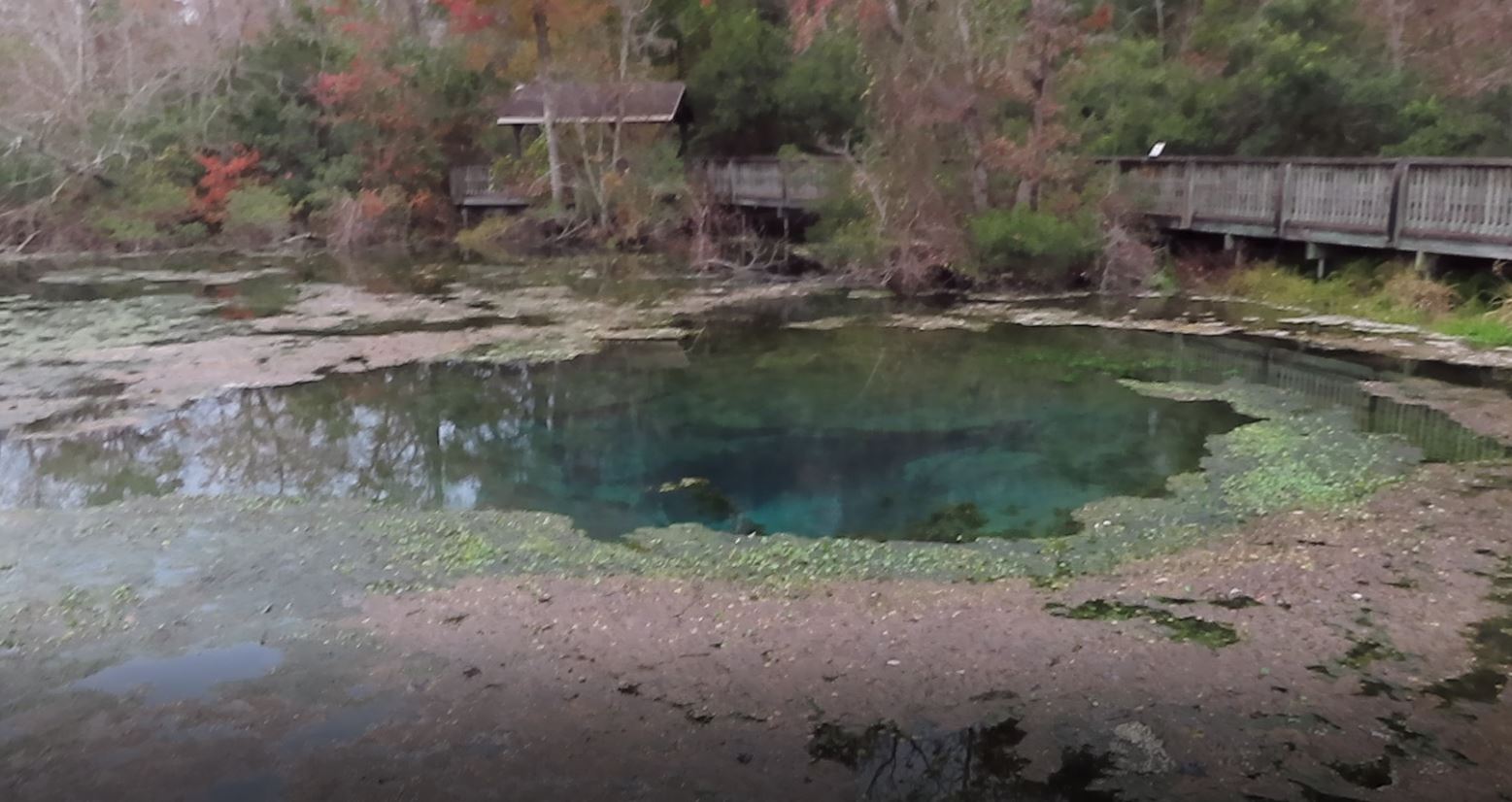 Magnolia Springs Traveling with Dogs in a Tiny RV