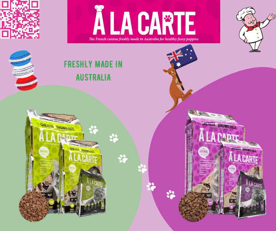 Cat Supplies Food, Toys, Health, Bedding Accessories Online in