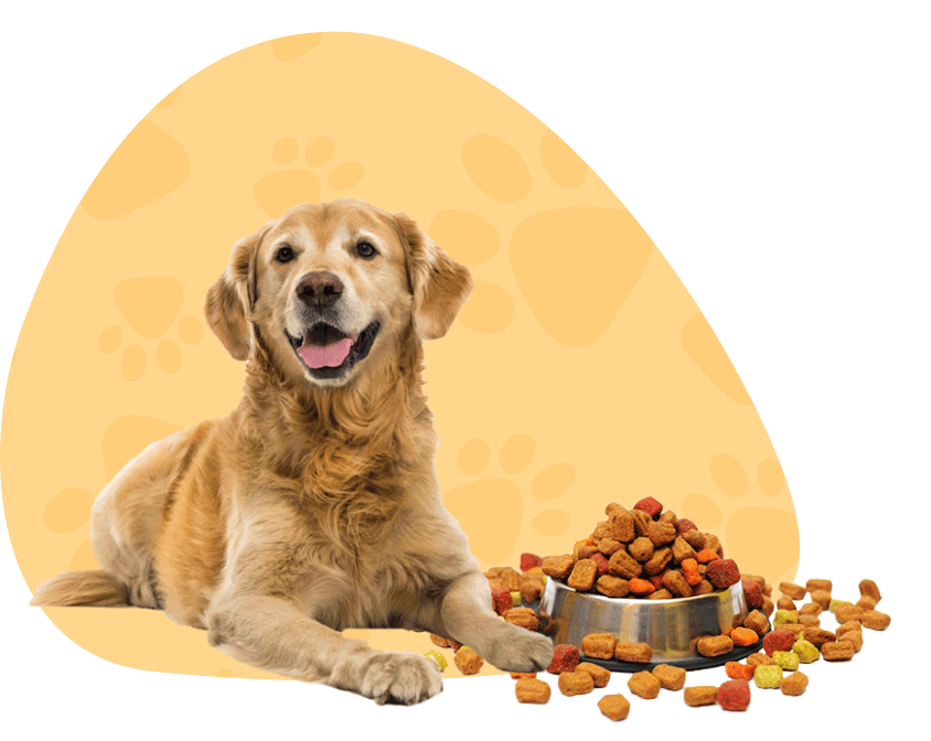 Pet Shop Online Fish & Pet Supplies Online Ballarat, Australia