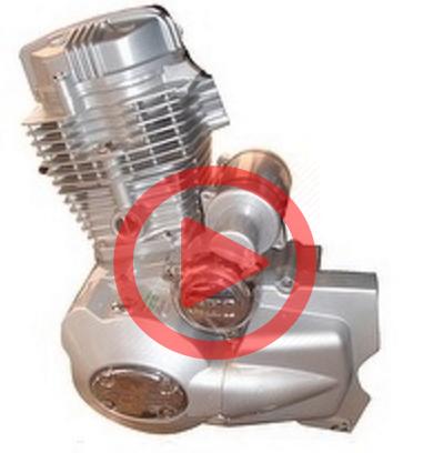 How to determine which Chinese Engine you have - GoKarts USA®