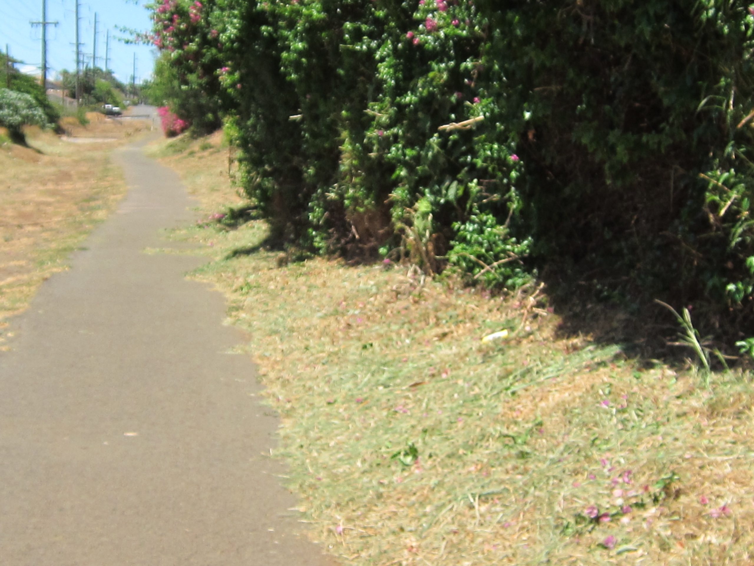 Public Works (DPW) working for public fire safety in Kihei Kihei