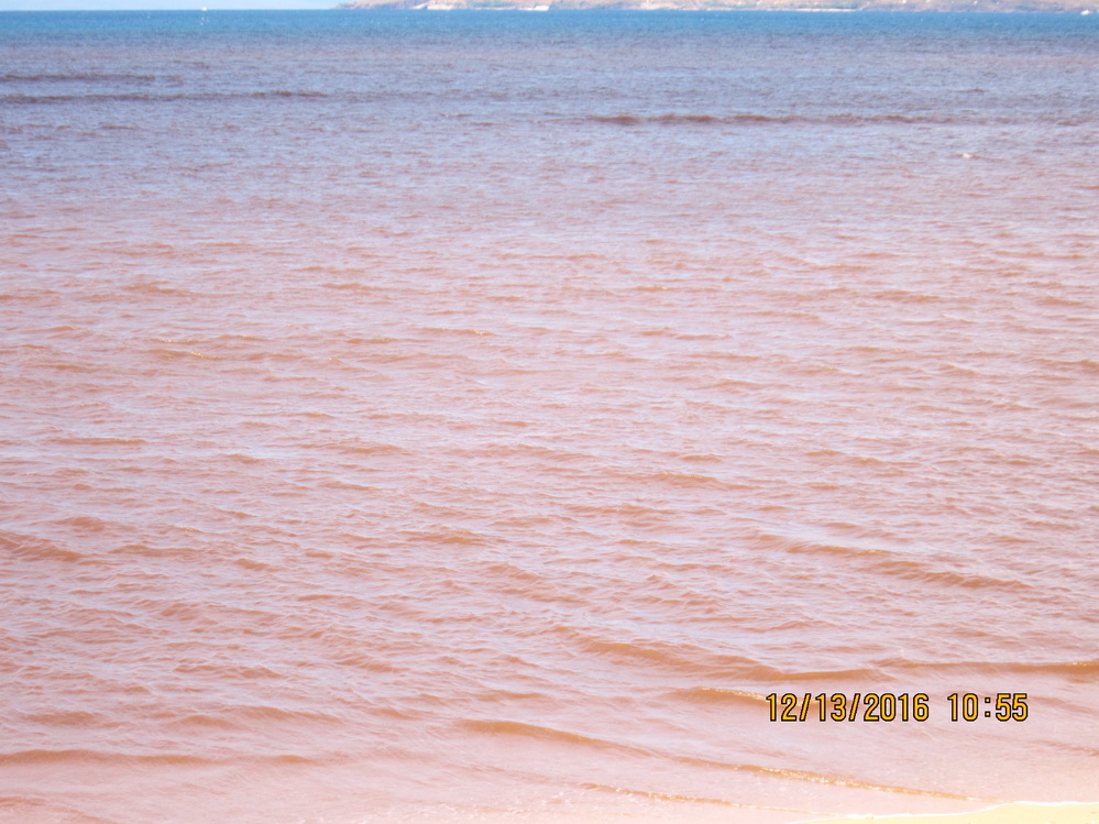 ALL CLEAR NOWBrown Water Advisory, Island of Maui Kihei Community
