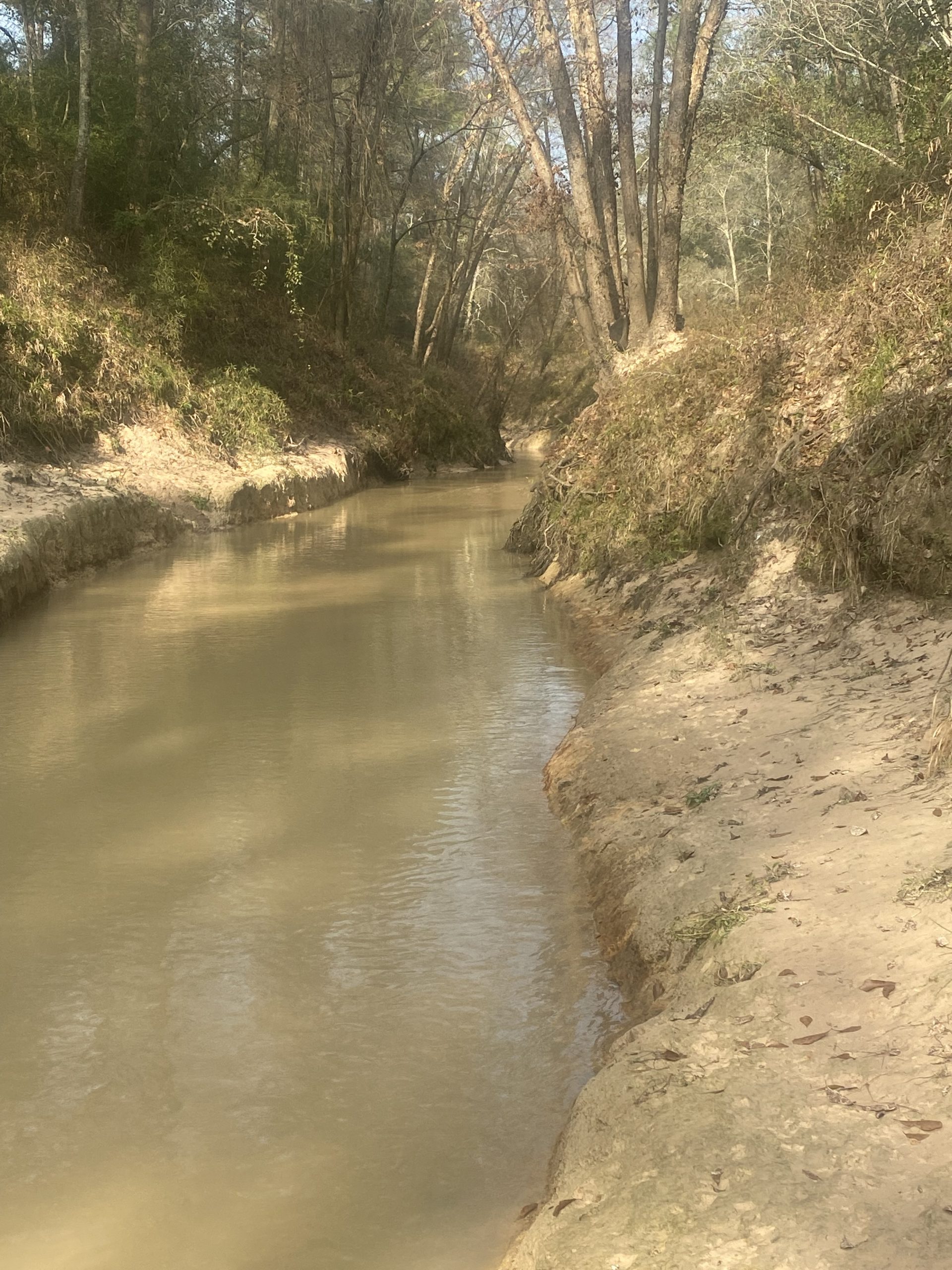 Little Cypress Creek Today (30Dec2021) Gold Academy Private and