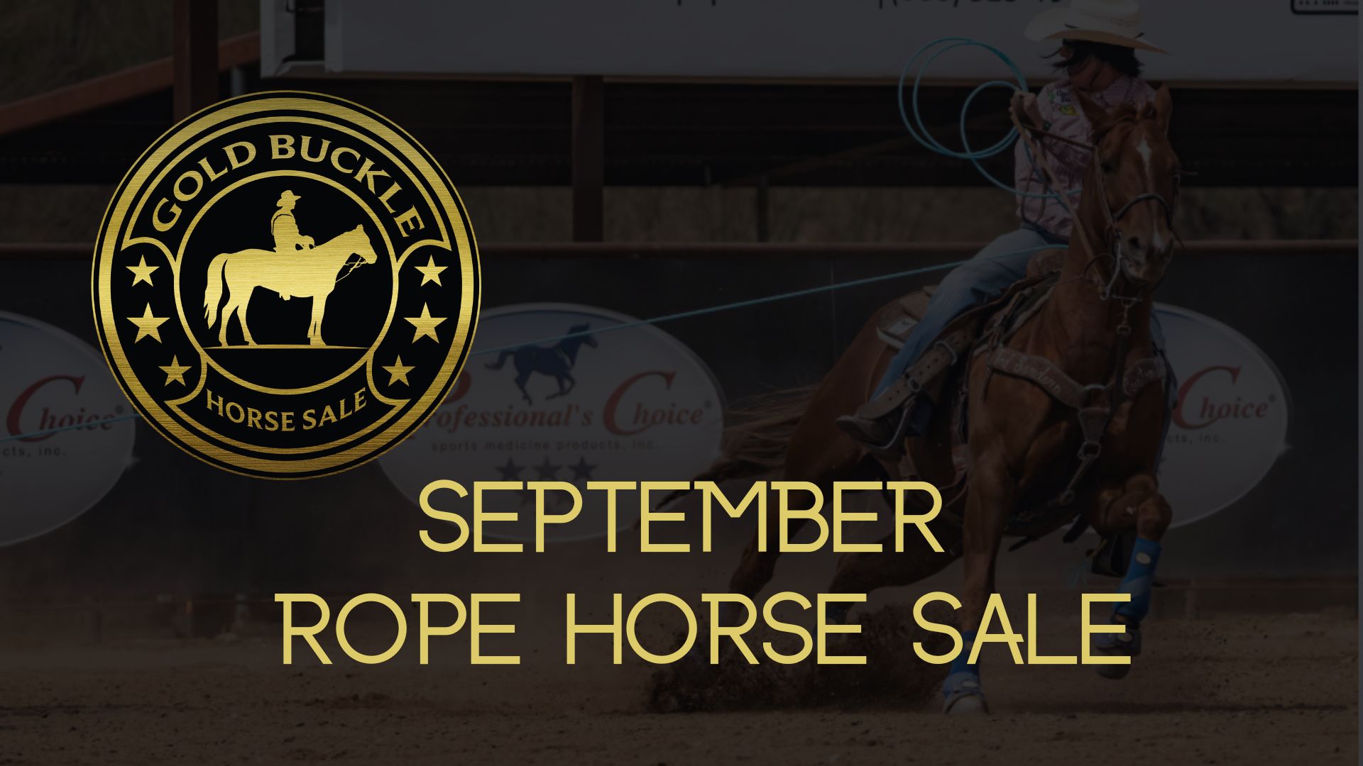 Professional Online Horse Auction Horses for Sale Gold Buckle Horse Sales