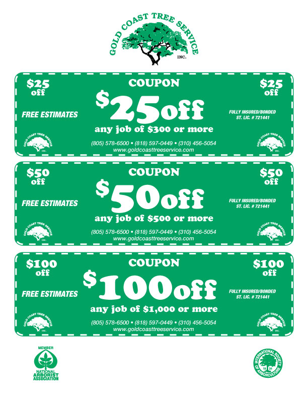 Gold Coast Tree Service