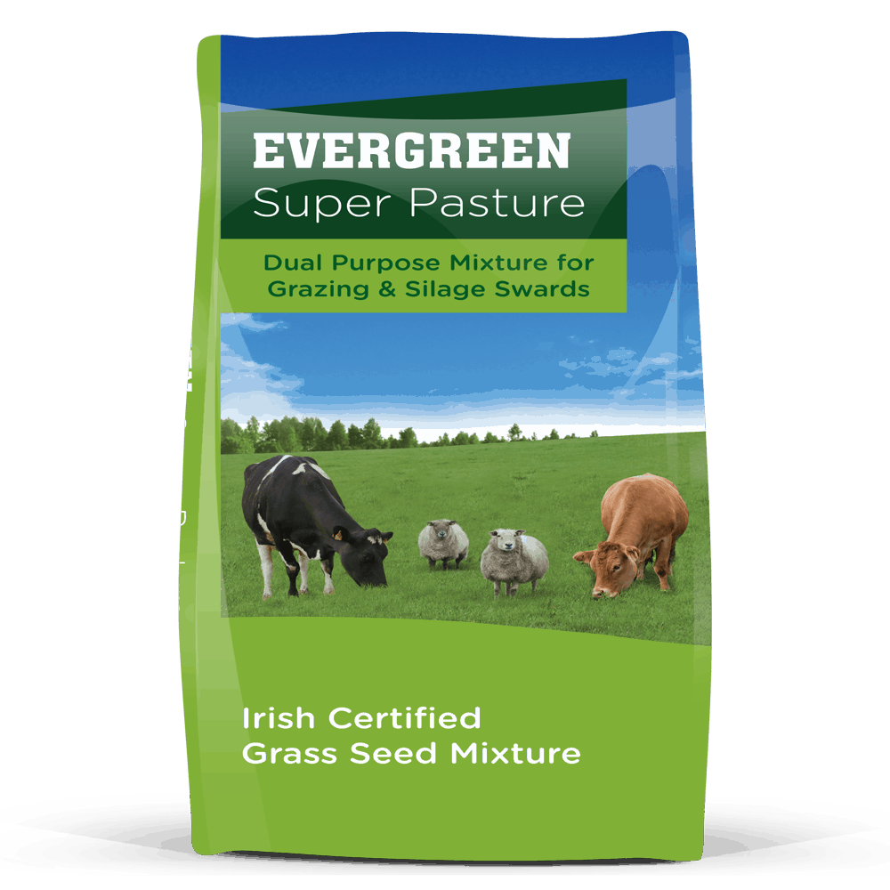 Evergreen Super Pasture Dual Purpose Mixture Goldcrop