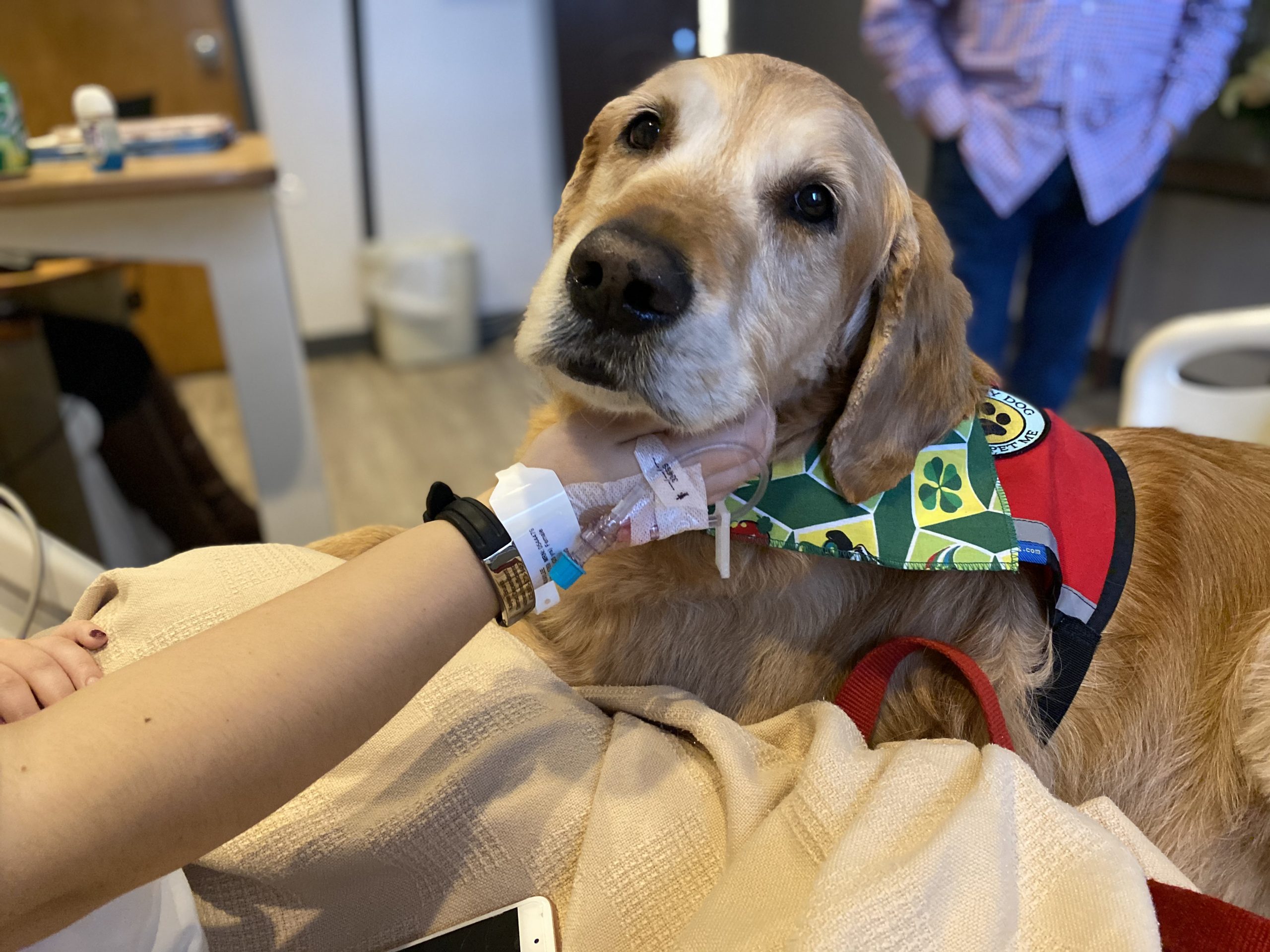 Why Are Dogs Good Therapy Animals