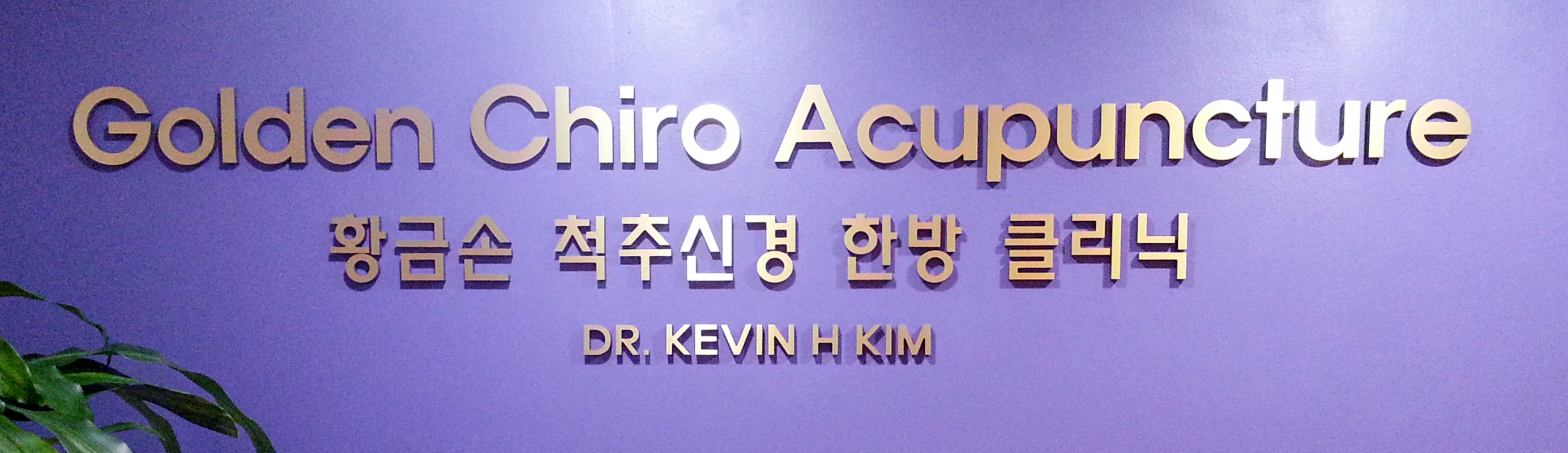 Office Tour » Golden Acupuncture & Chiropractic Acupuncture in Fairfax VA