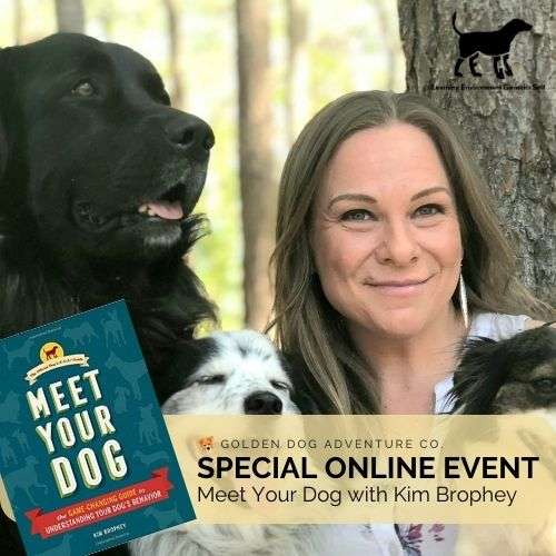 SPECIAL ONLINE EVENT Meet Your Dog with Kim Brophey Golden Dog