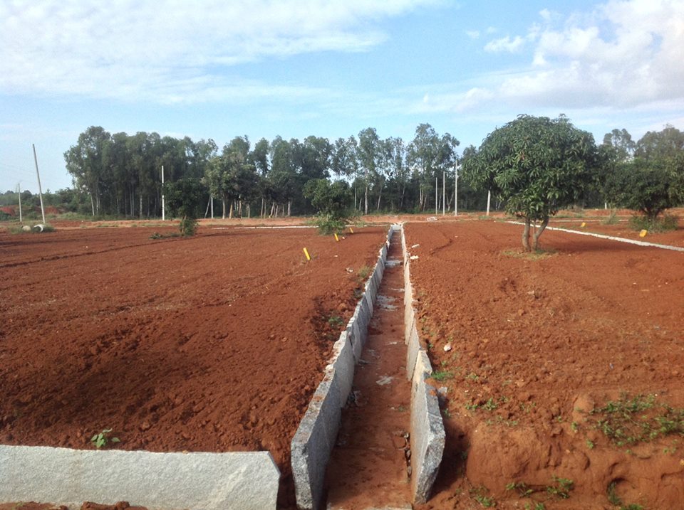 Buy land in Bangalore Farmlands for sale in Bangalore Properties in