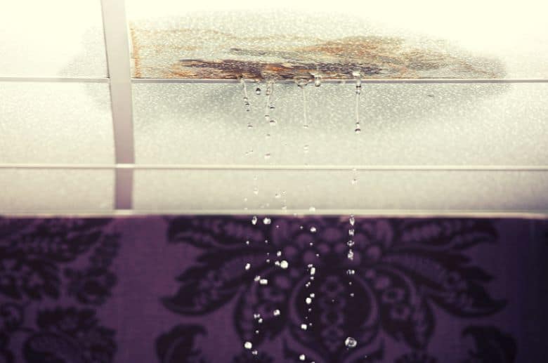 Leak In Chimney Homeowners Insurance 6 Facts You MUST Know