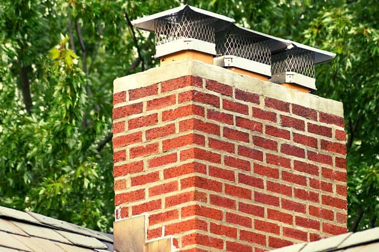 Animal In Chimney? How To Identify And Prevent This Problem