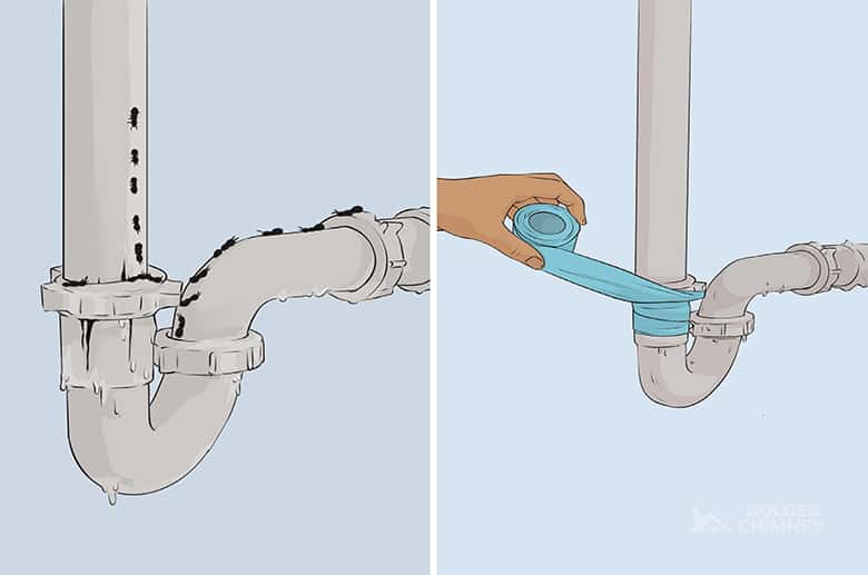 Ants In Chimney? 5 Effective Ways To Keep Them Out!