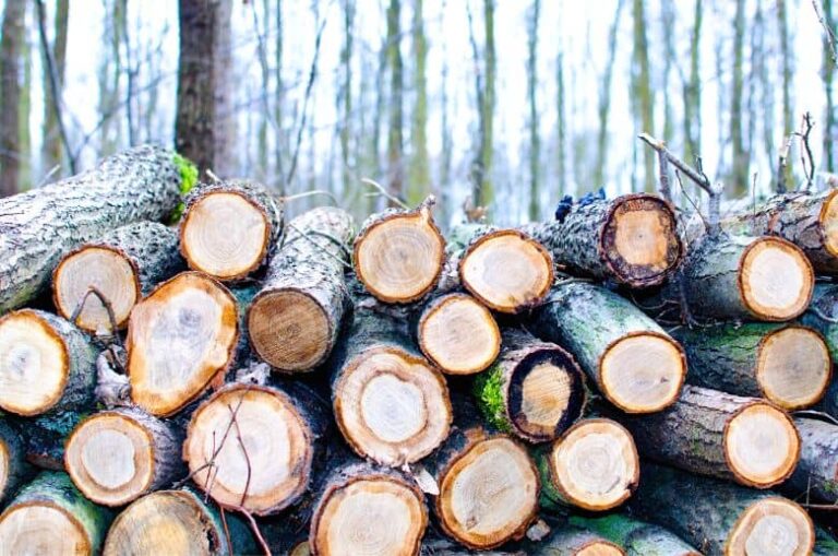 9 Causes Of A Fireplace Draft Problems (Homeowners Guide)